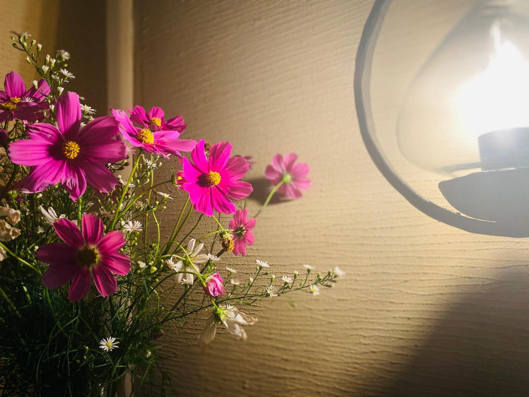 Hotel Wohnen Hakuba Bagian luar foto